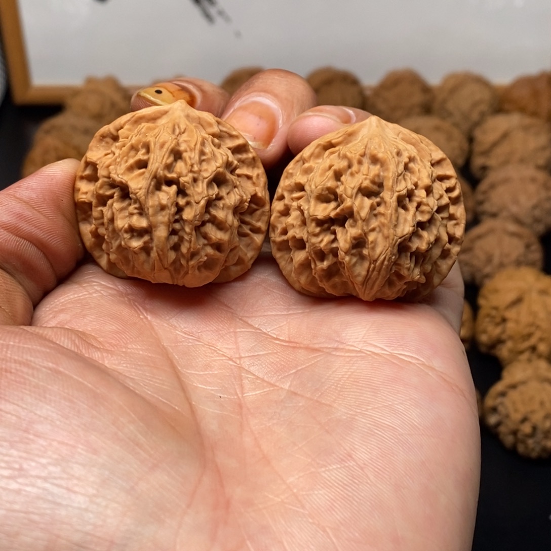 38尺全品白茬盘龙纹