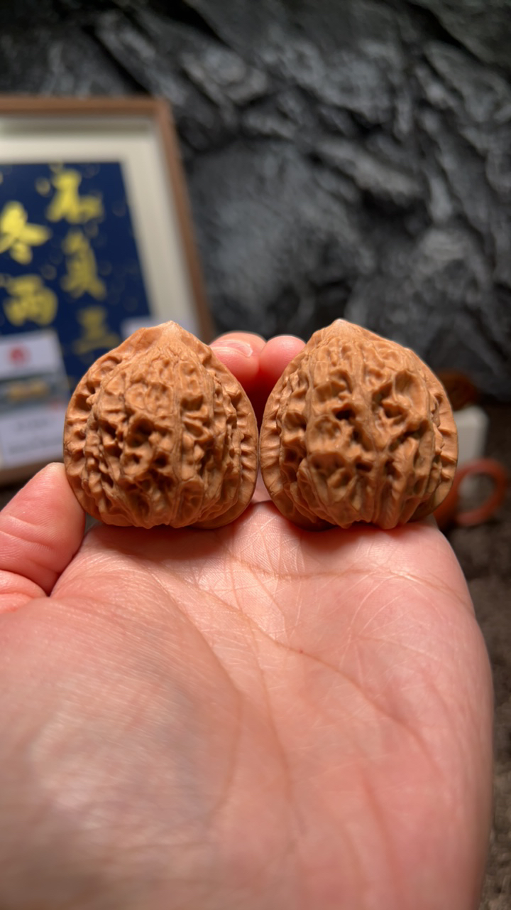 文玩核桃 仙台公子帽4842号38 尺寸