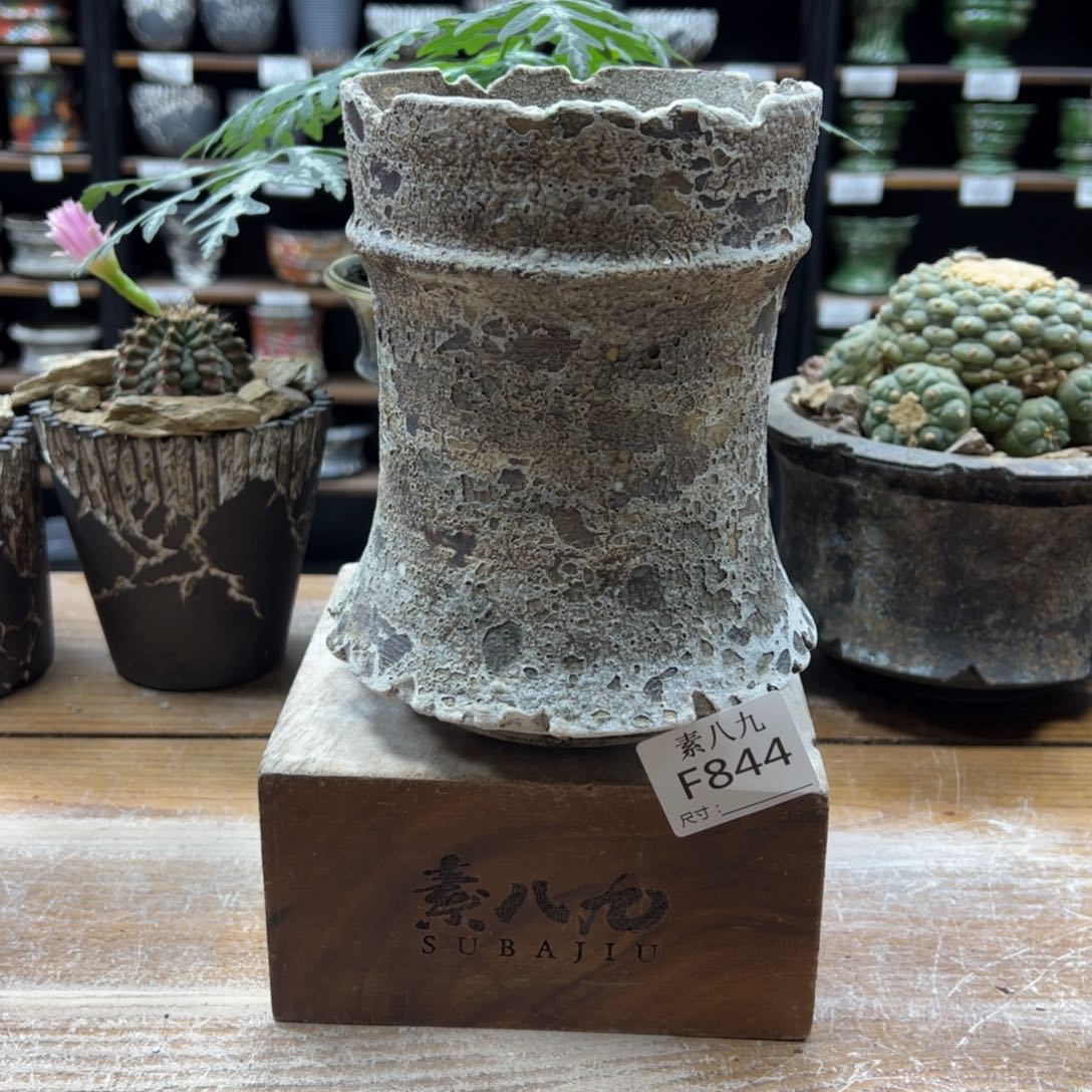 素八九陶瓷内口11.5高17