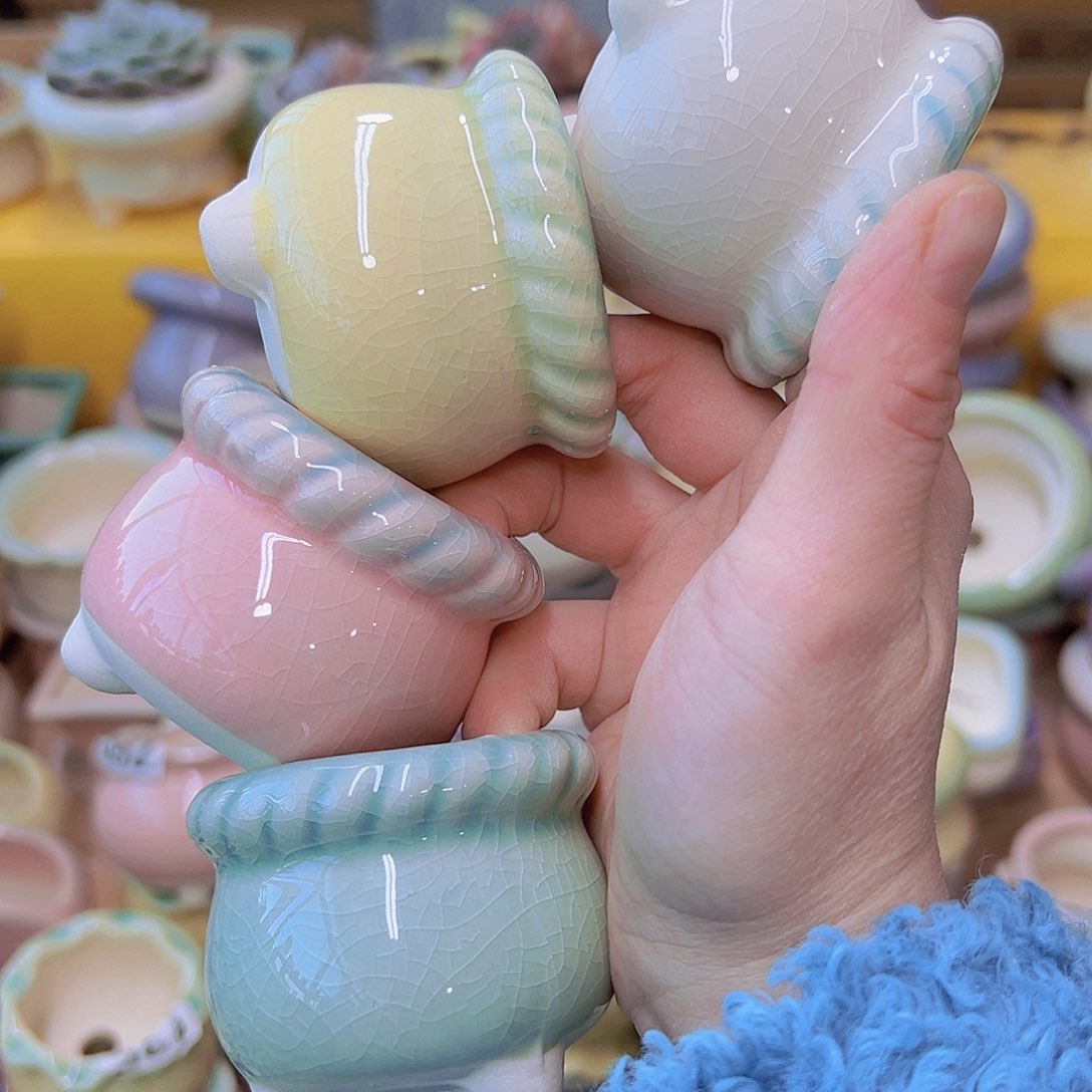 红陶陶瓷花盆当场凑满12包邮