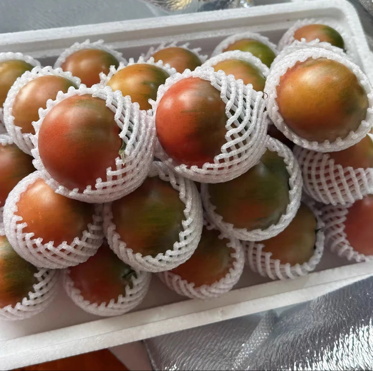 【全红】盐碱地现摘柿子铁皮西红柿顺丰包邮生吃应季