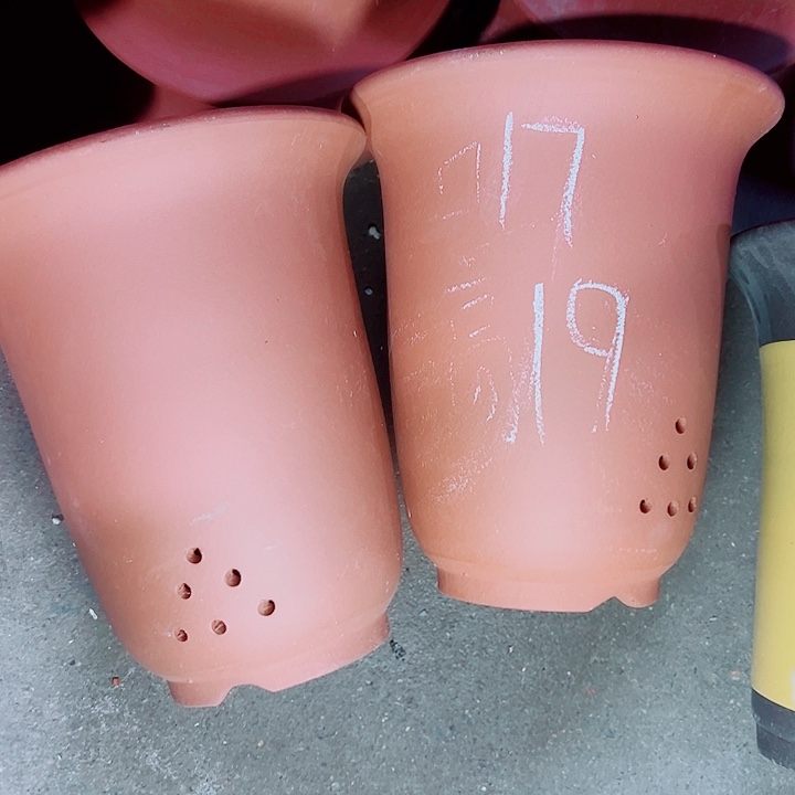 红陶紫砂紫砂紫砂