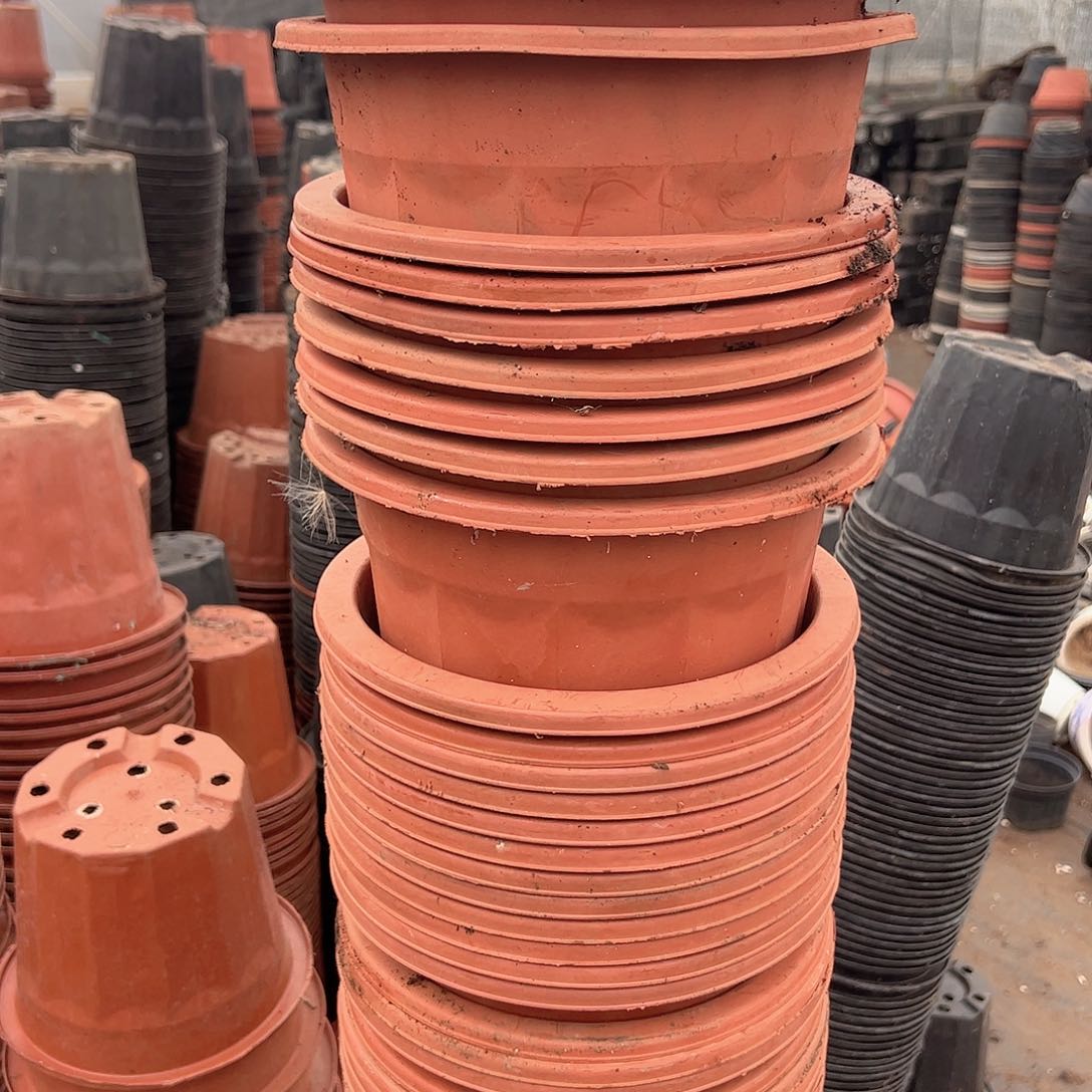 红砖盆22.5口径20高 8个