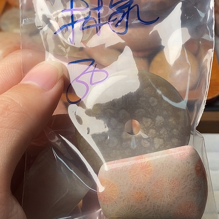 林***泉硅化珊瑚未镶嵌颈饰