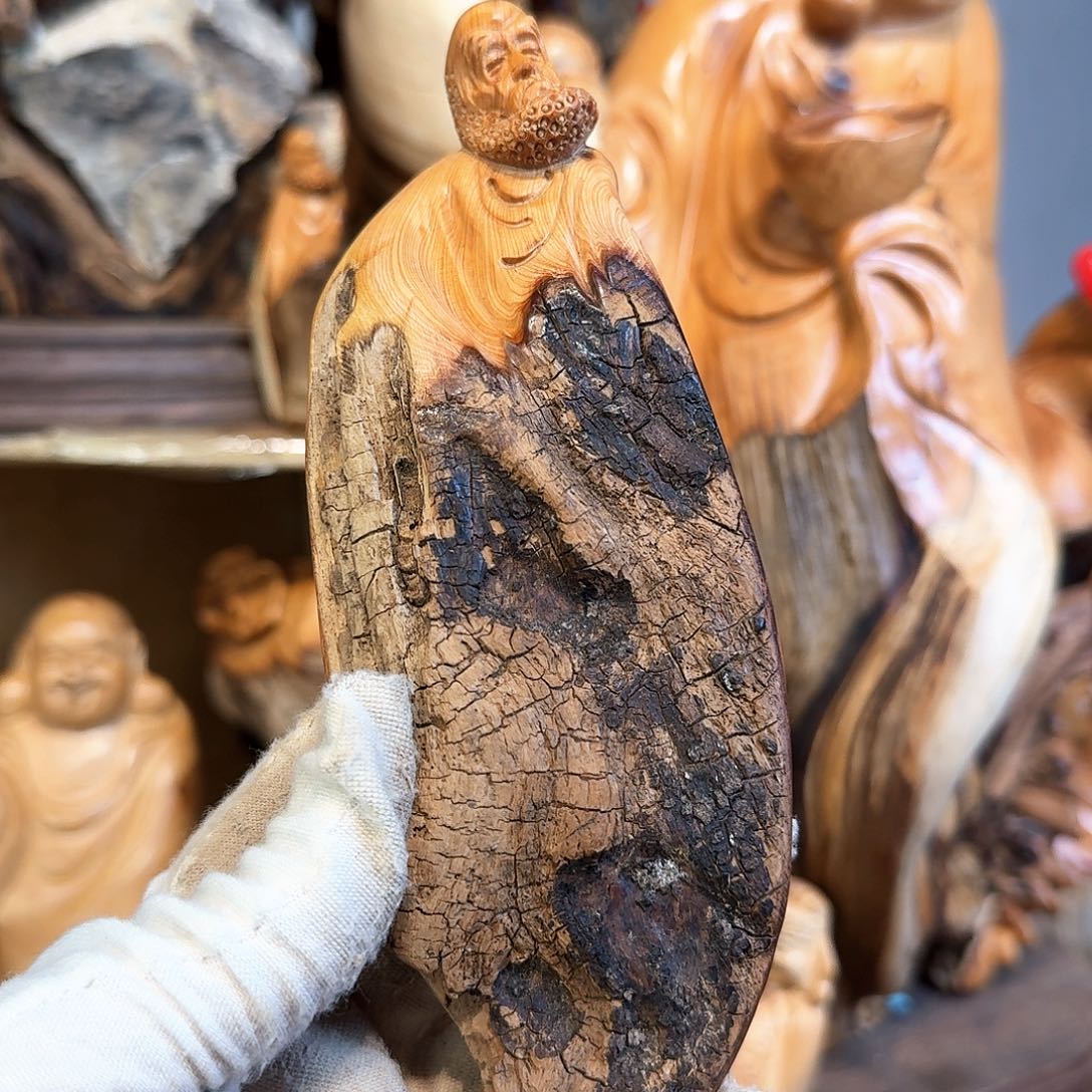 柏木（崖柏）66666666666