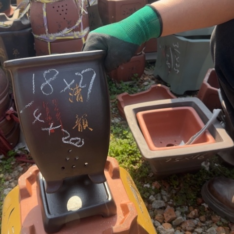 紫砂花盆紫砂花盆盆景盆栽