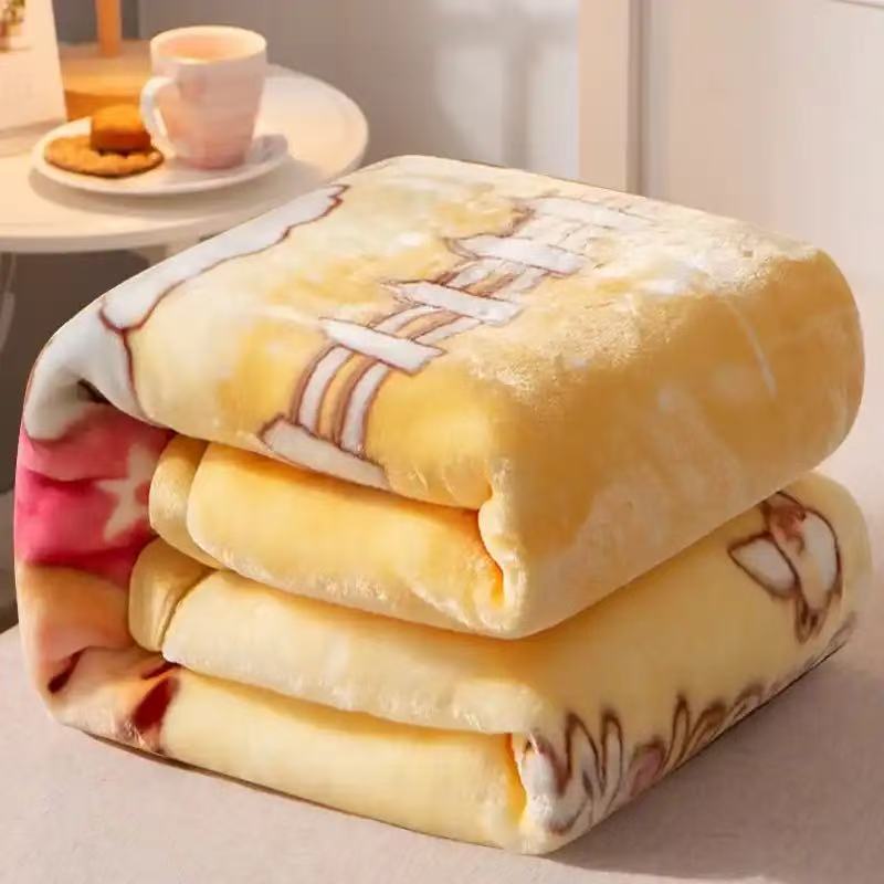 A2双层绒毯冬季加绒加厚毛毯