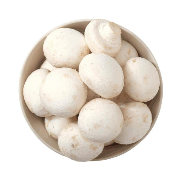 白蘑菇 520g