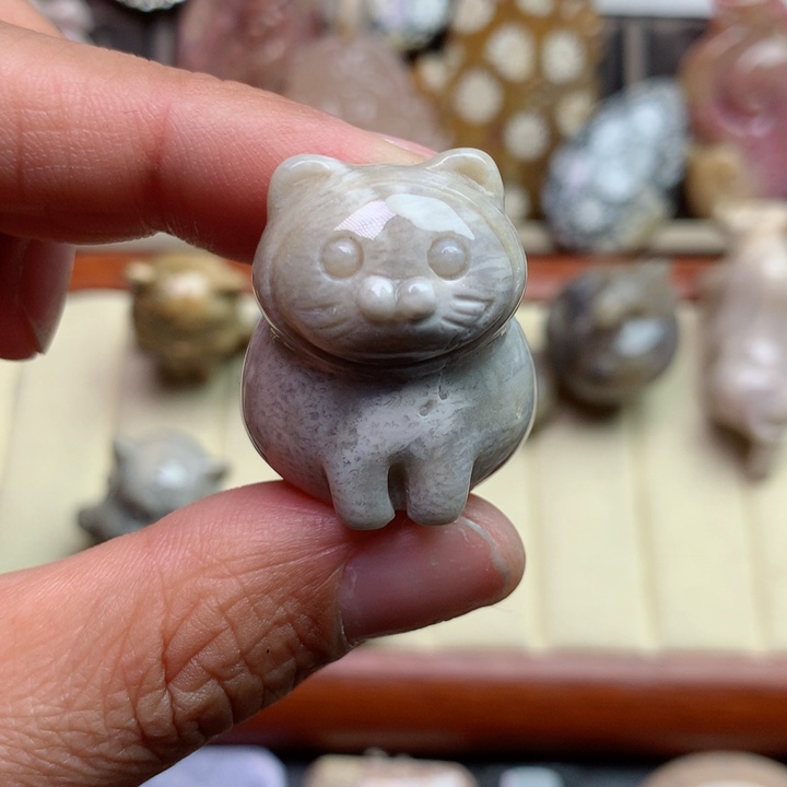 硅化珊瑚（珊瑚玉）颈饰未镶嵌