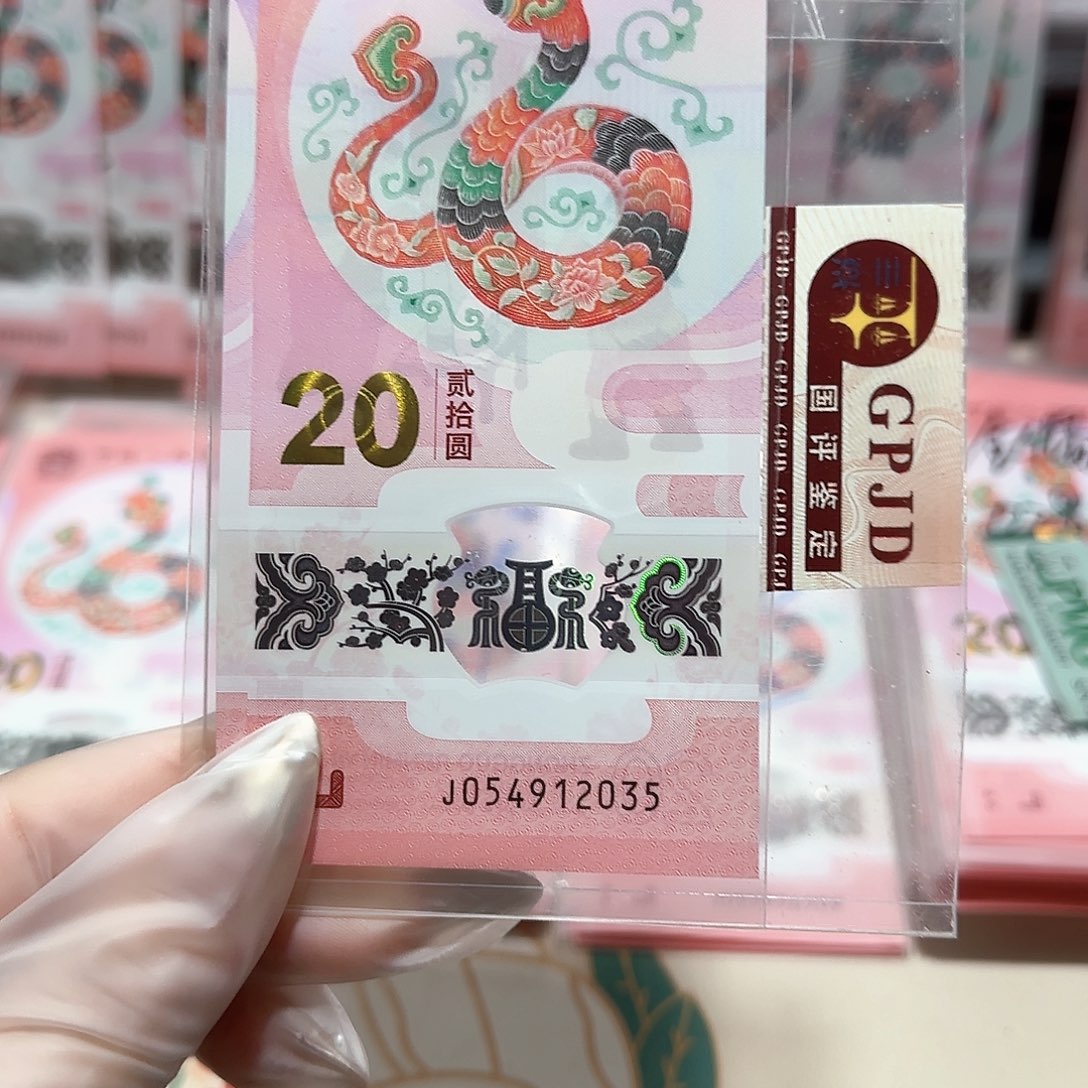 纸054912023年分。。。。。。。