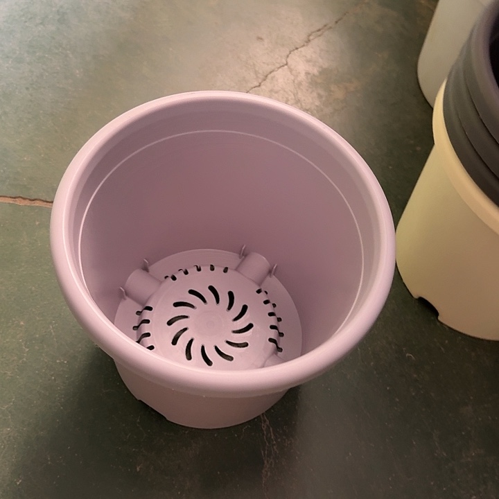 四季4号灰白无托8个特价微瑕