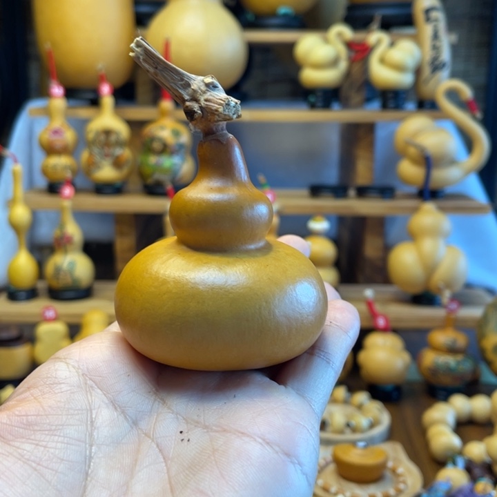 满****?天然葫芦自然生长