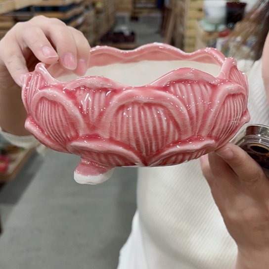 红陶直播间已有一年