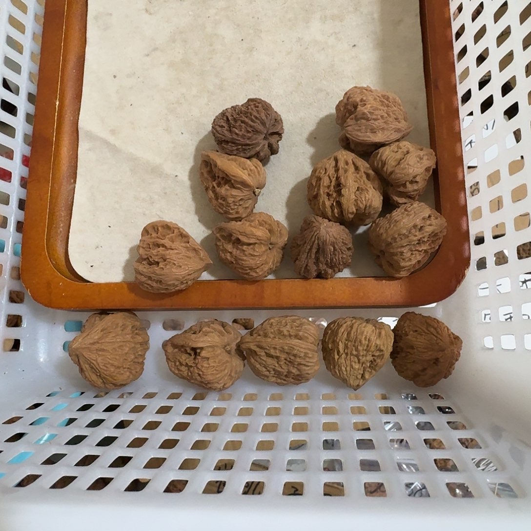 时***倾把件文玩核桃逐鹿南疆佛肚小籽儿买9个送5个