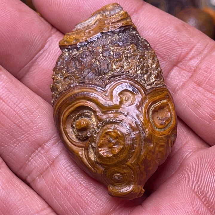 单钢圈双层纱60CM以上涤纶戈壁滩上的一玛瑙石