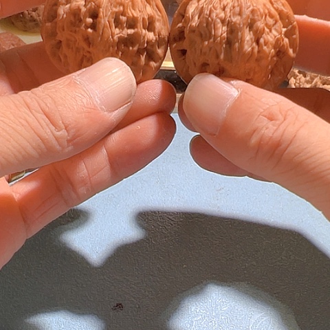 文玩核桃把件正磨39