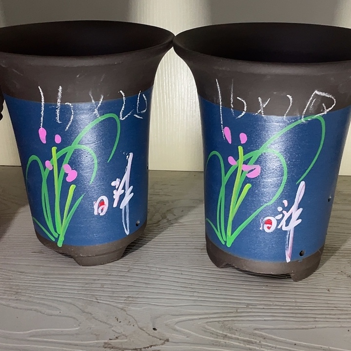 红陶紫砂紫砂紫砂