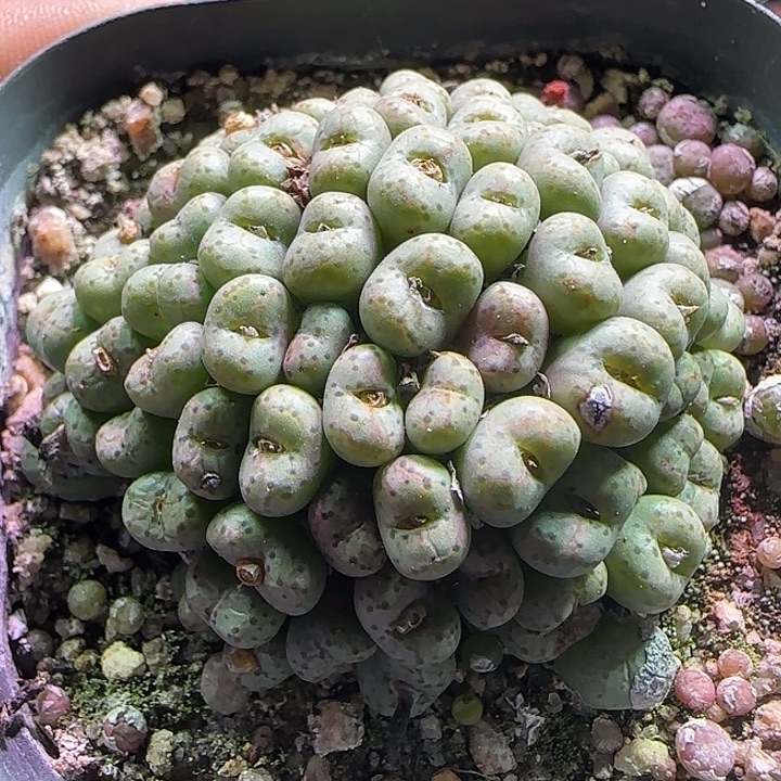     哈哈哈哈哈哈哈。 173