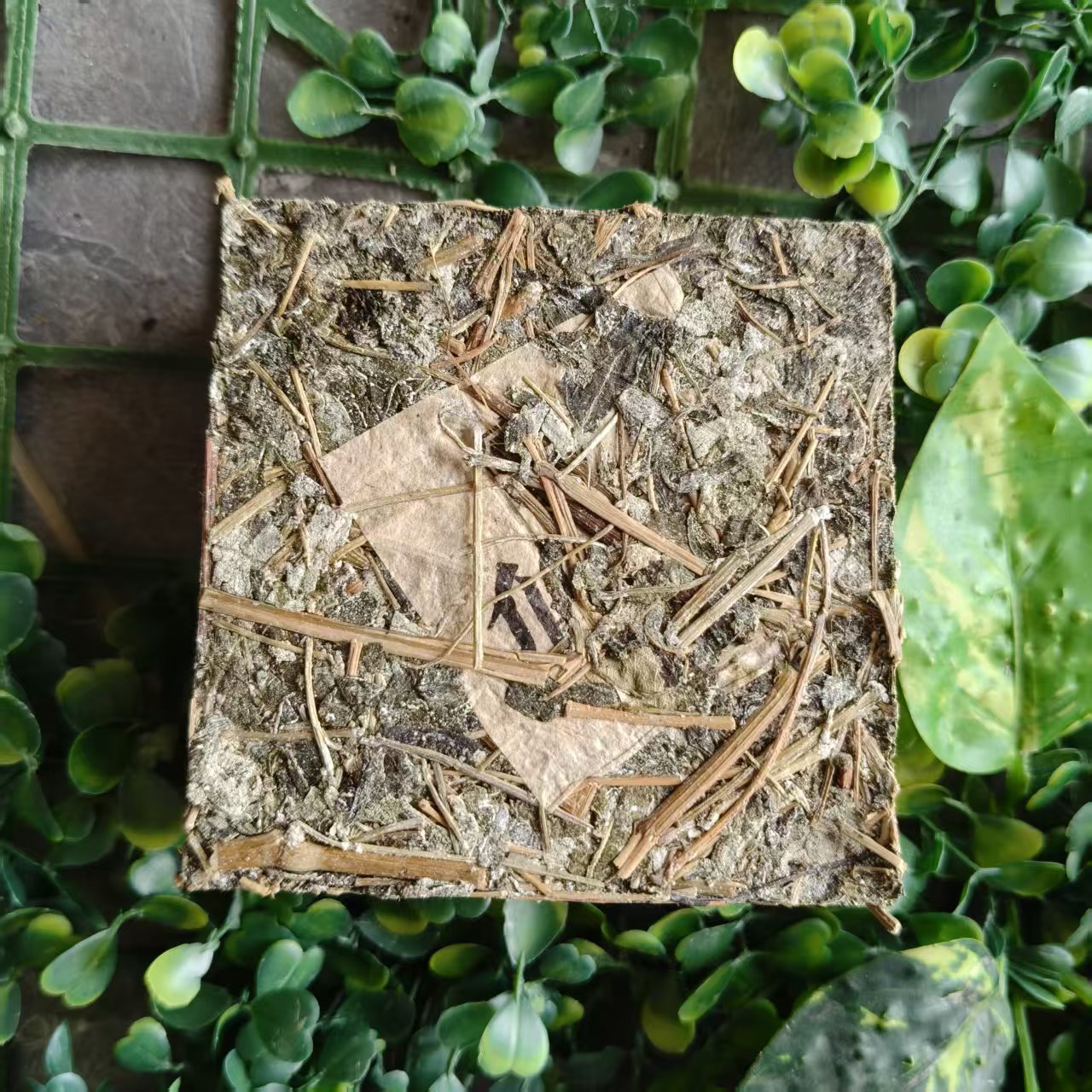 雨腾古茶 “X壹號”九五至Z 紫薇GM 200g/砖 （6月21）