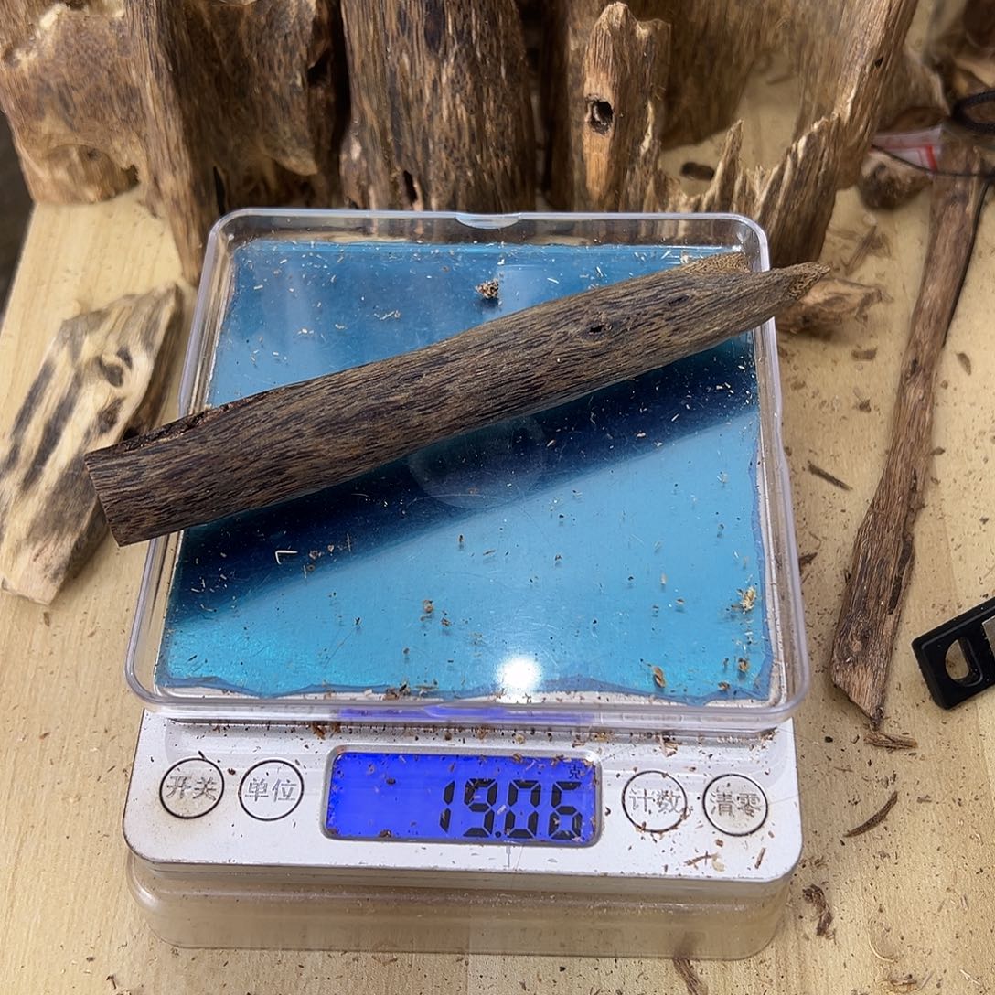 香料绿奇楠虫漏19克乌身天然虫
