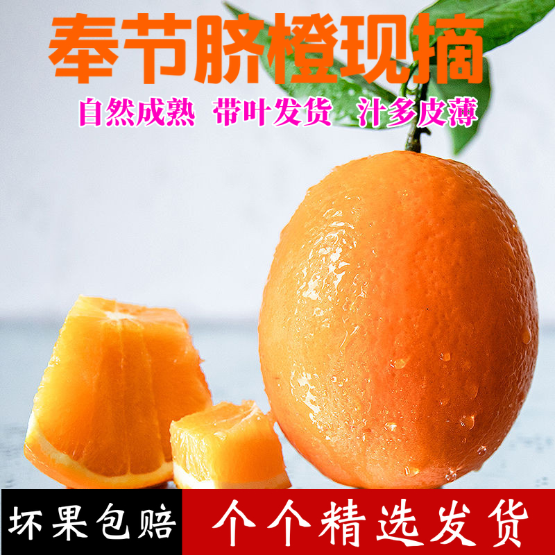 正宗奉节脐橙纽荷尔5斤橙子新鲜应季水果现摘现发