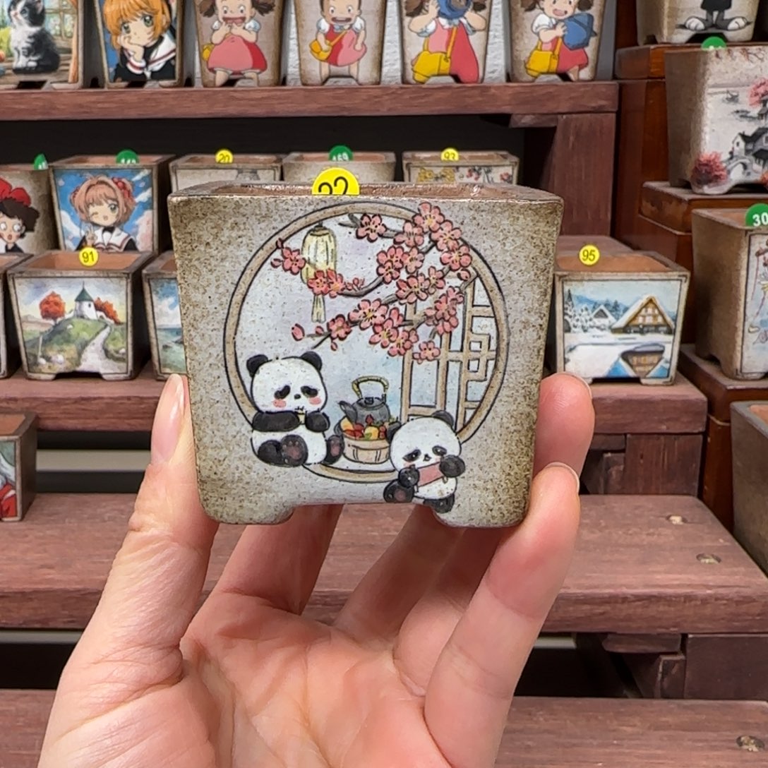 内口尺寸5厘米左右花盆