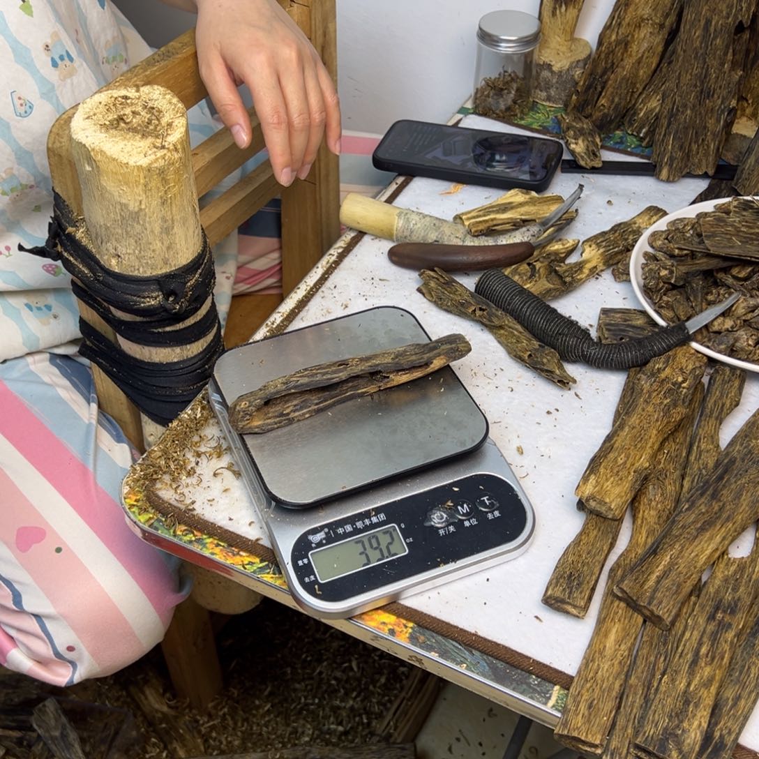 线香奇楠虫漏香39克