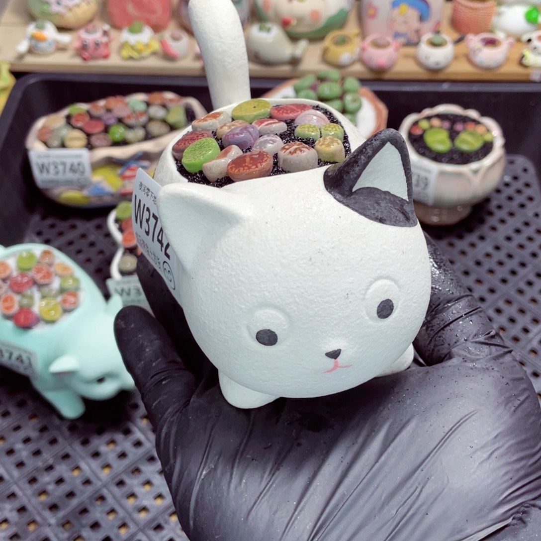 夜间零下地区拍保温箱w3742