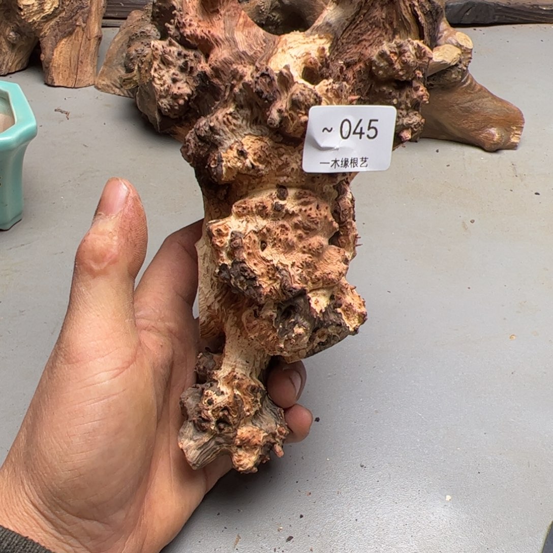 腾***月无花朵          45