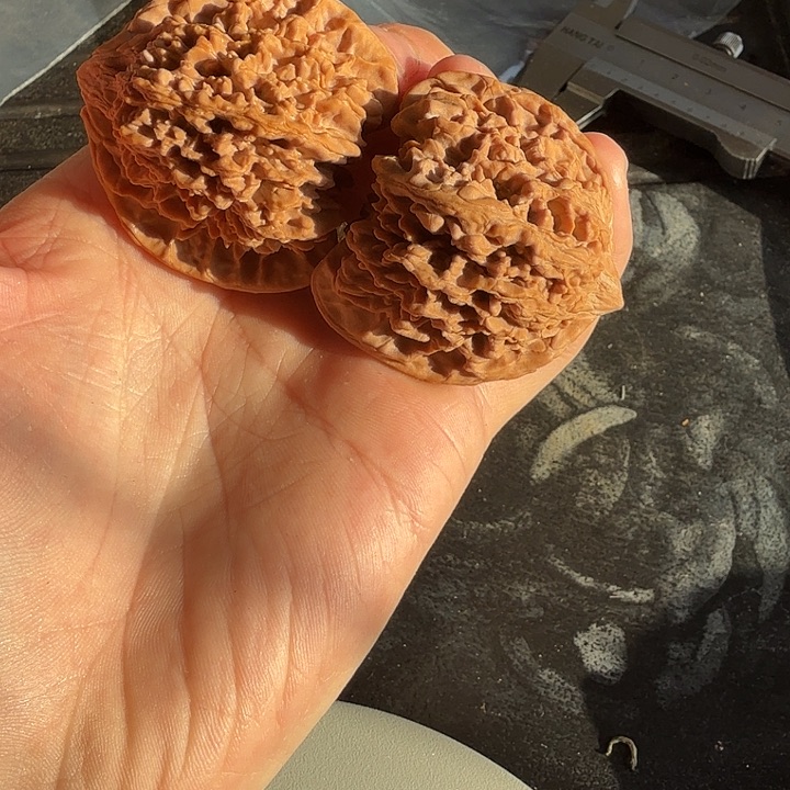 吊坠文玩核桃满天星