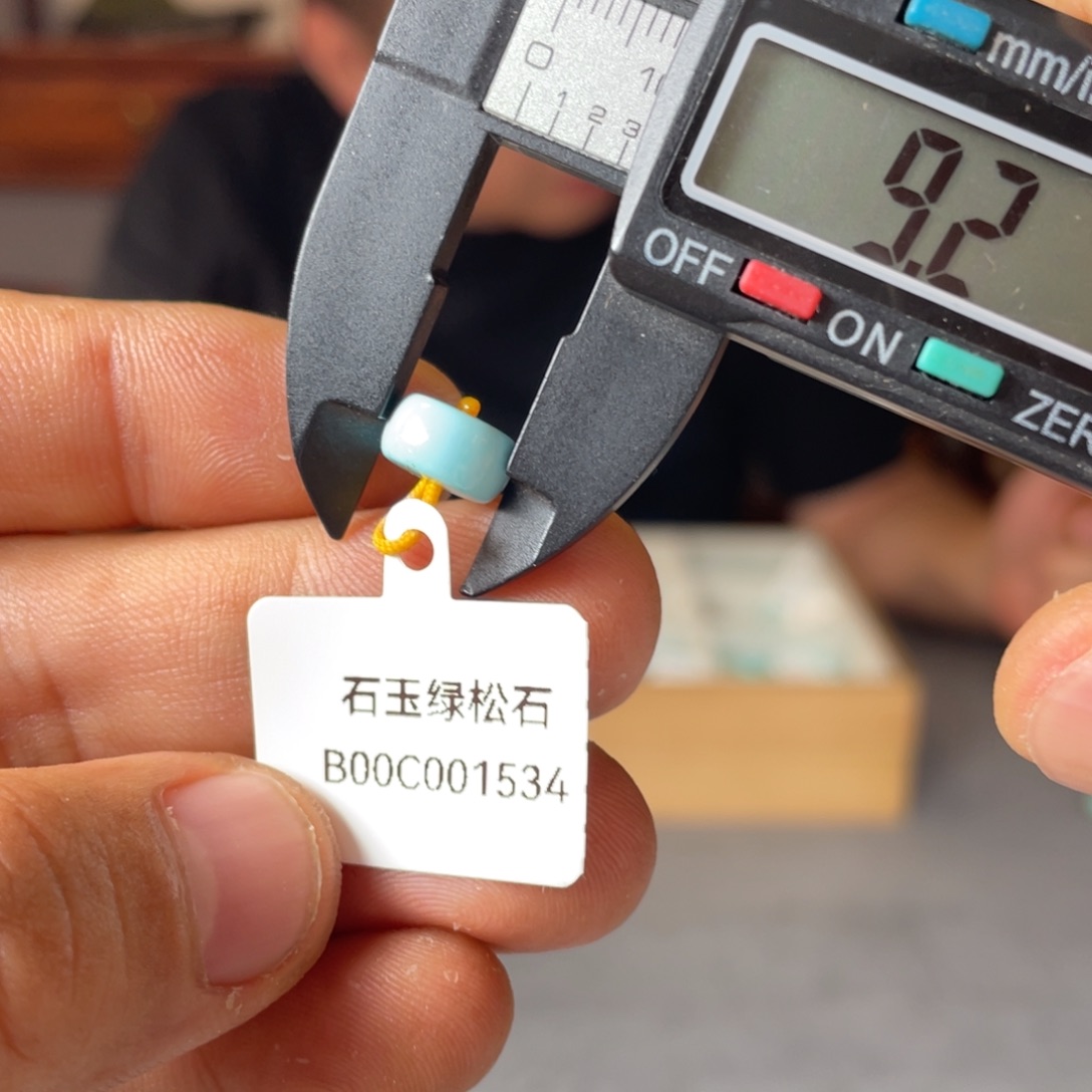 绿松石未镶嵌颈饰