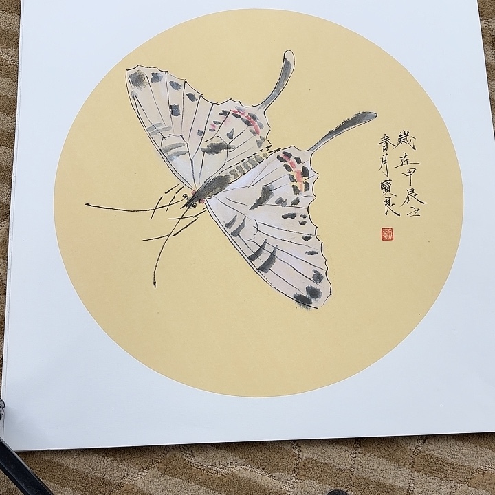国画花鸟的翅膀和翅膀都是