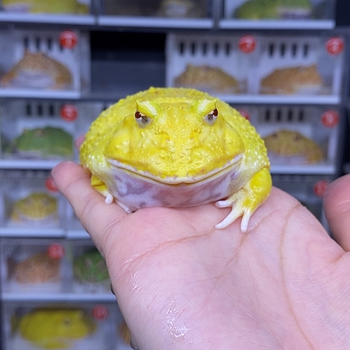 特价秒杀一切顺利