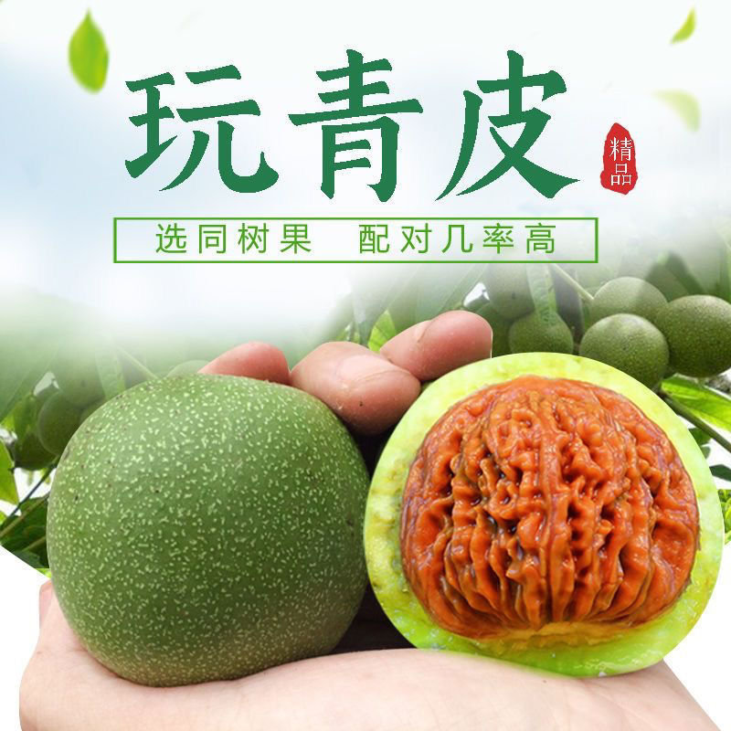 文玩核桃青皮代开不退不换