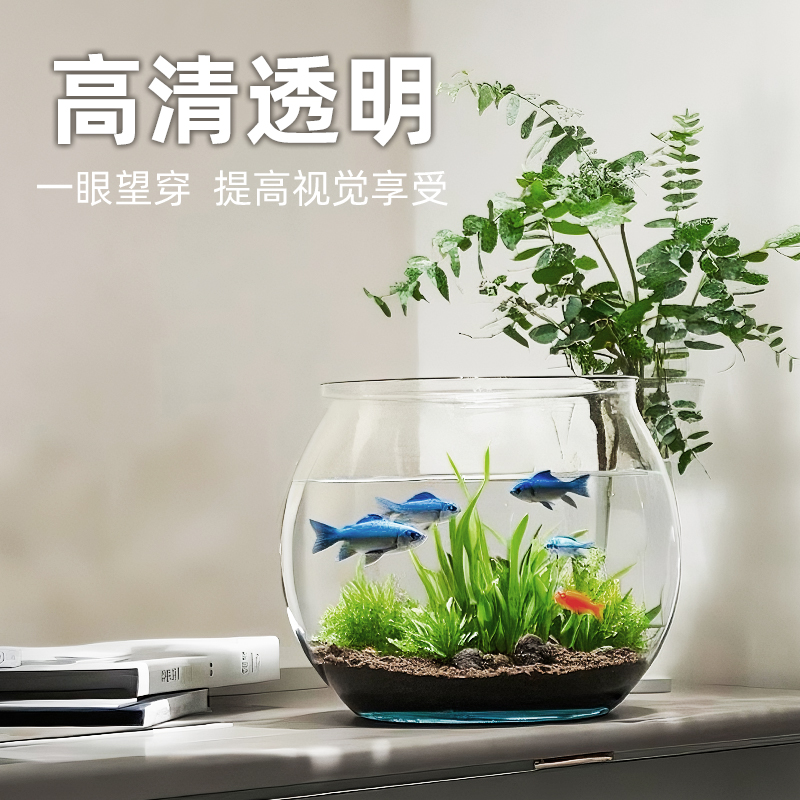 透明桌面家用鱼缸造景金鱼观赏鱼鱼缸客厅办公室专用高透高颜值