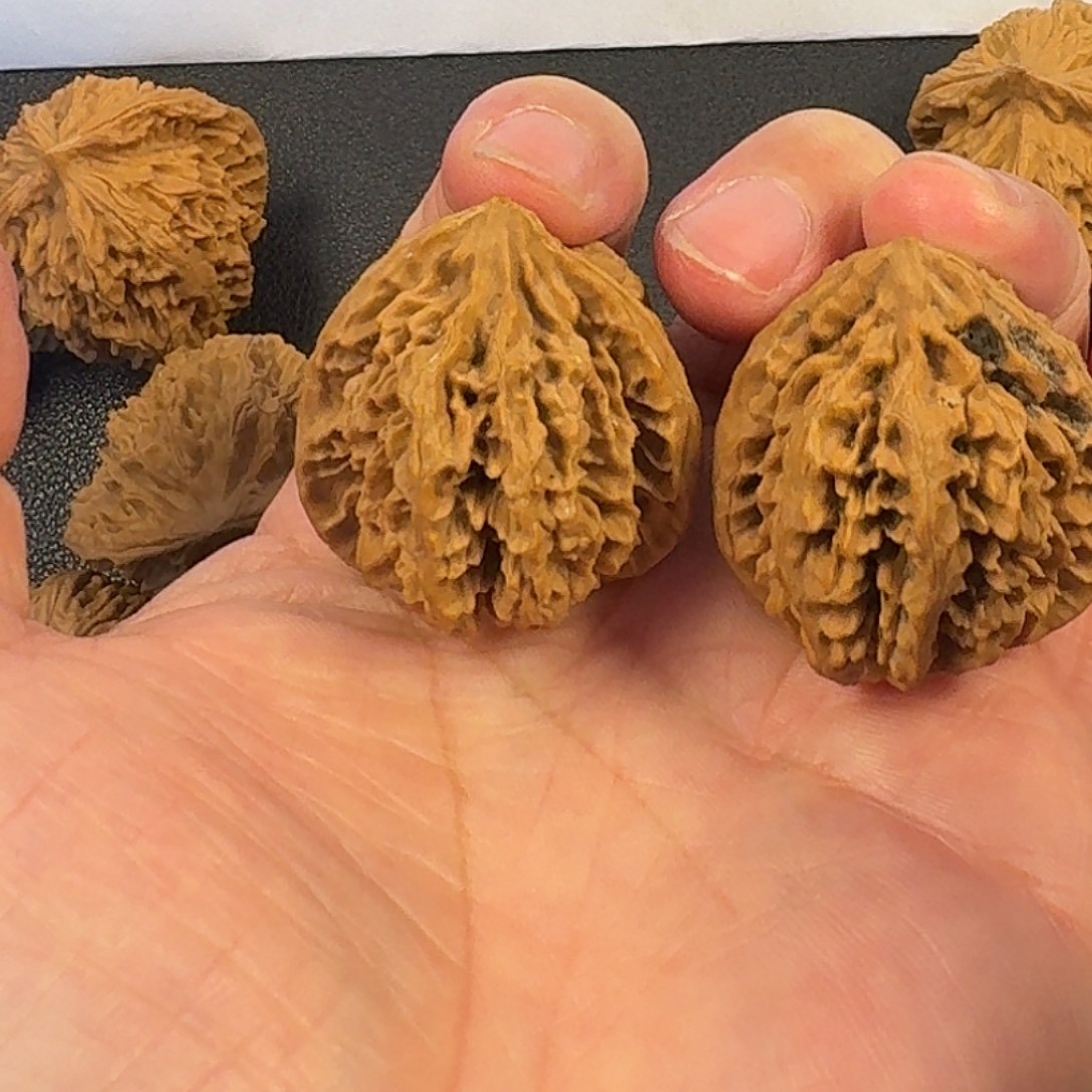 ༺***༻文玩核桃吊坠状元冠