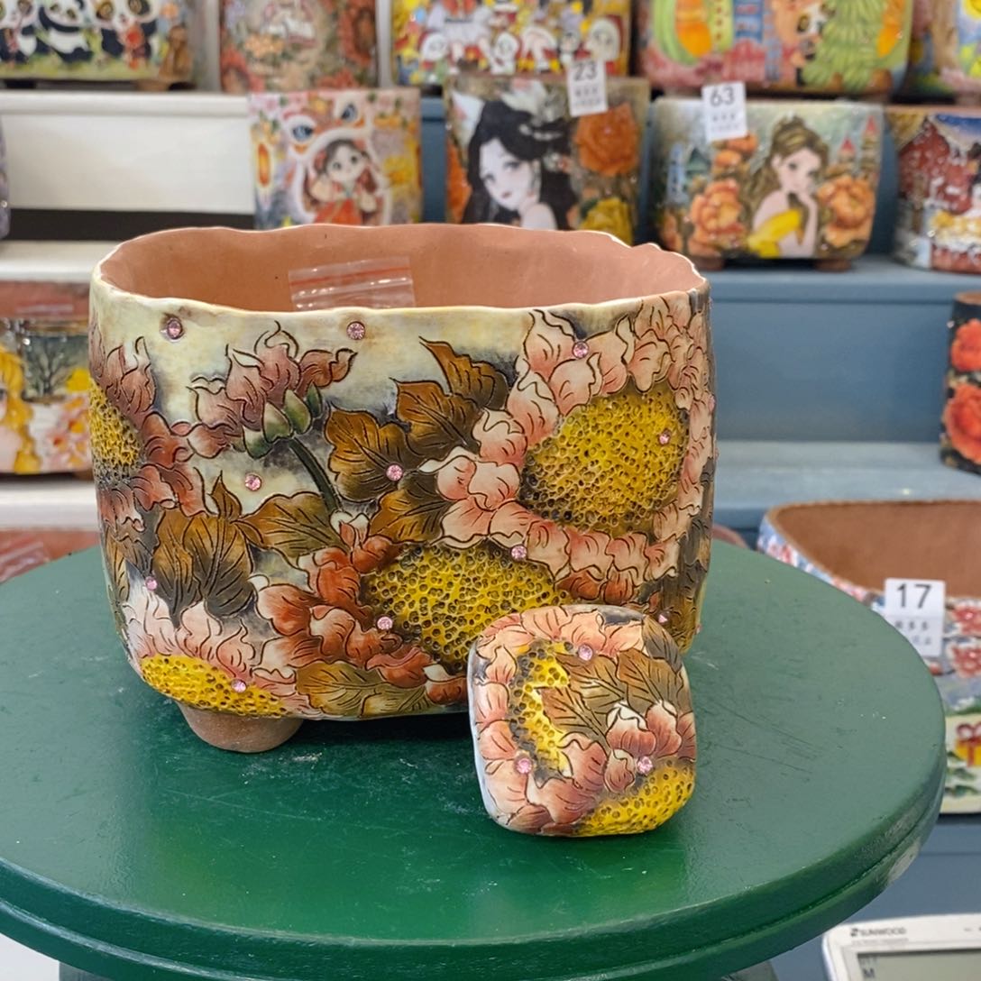 红陶锦****c一物一拍放漏