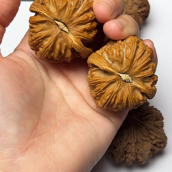 秦岭文玩核桃核桃