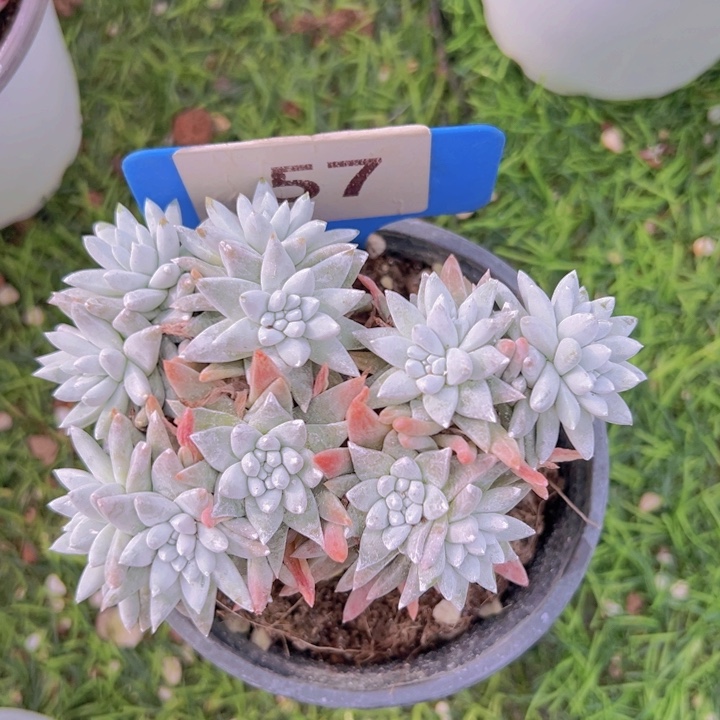 健健康康平平安安