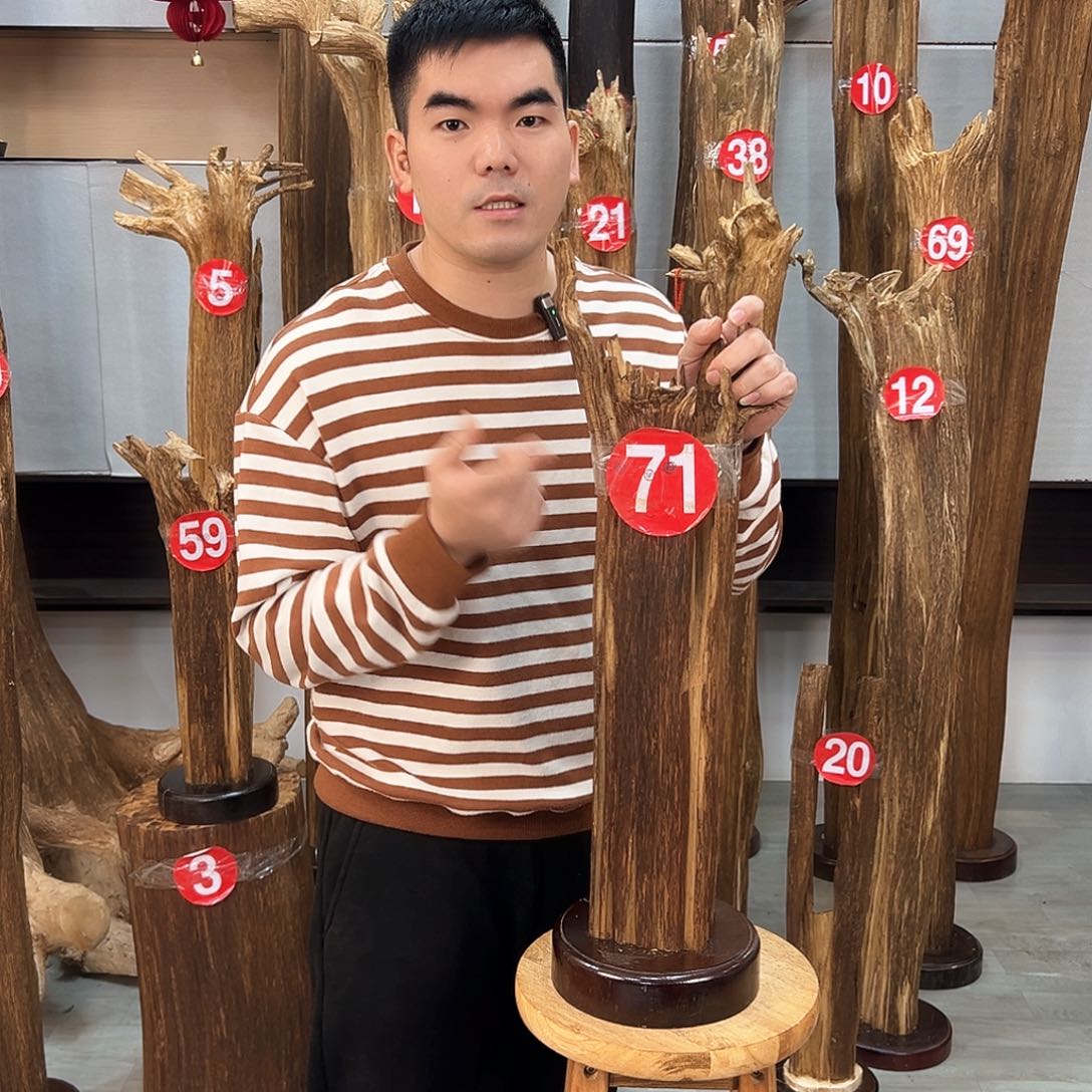 沉香摆件海南沉香摆件