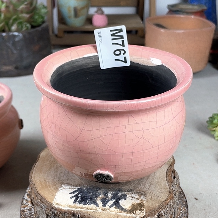 紫砂花盆开播福利 陶瓷花盆