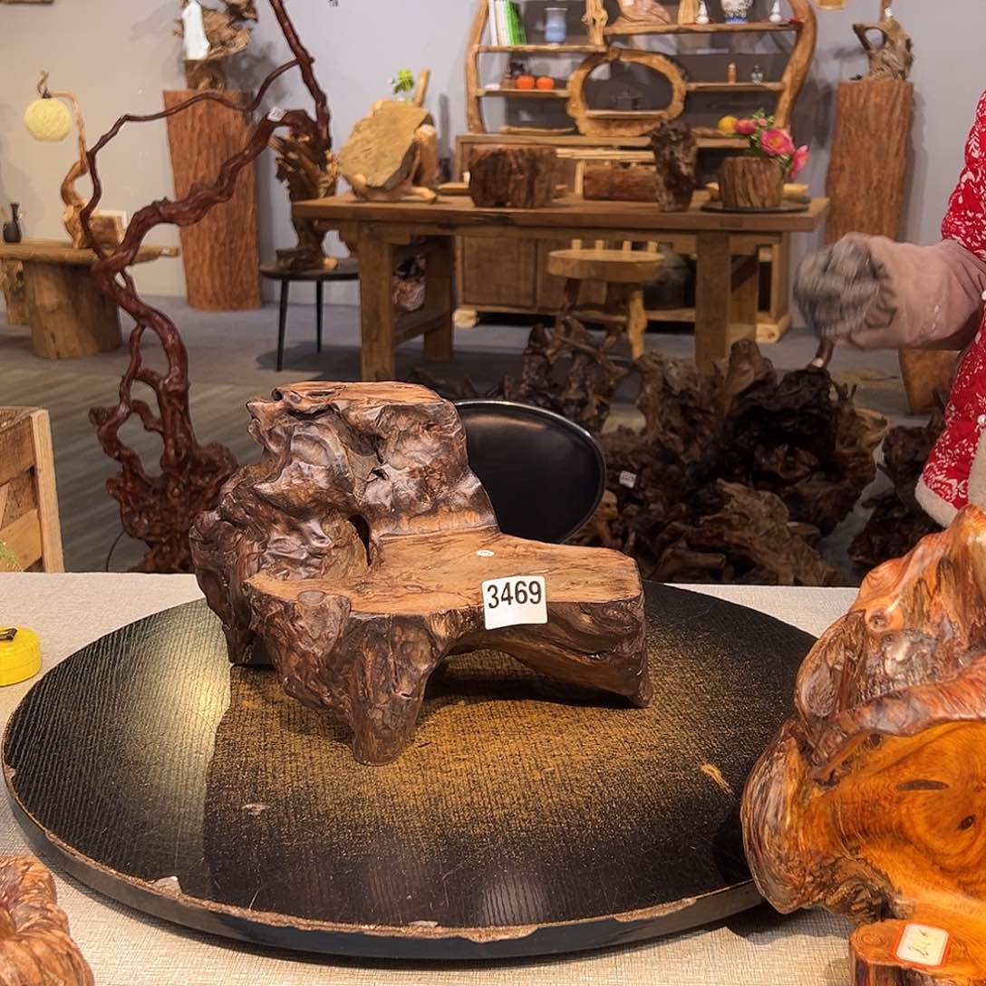 木雪*3469gggggggggggggggg