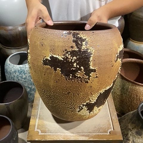口23高度31金气泡888