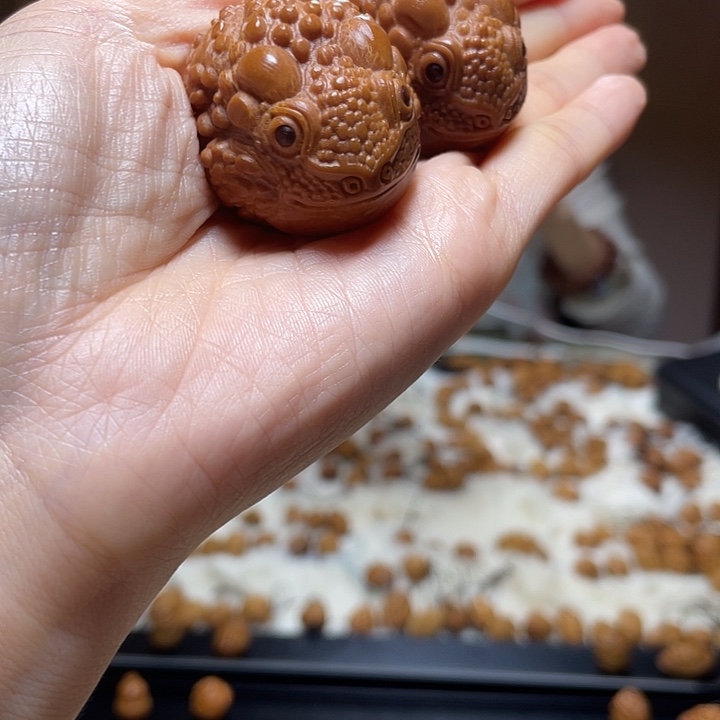 橄榄核吊坠橄榄 金蟾