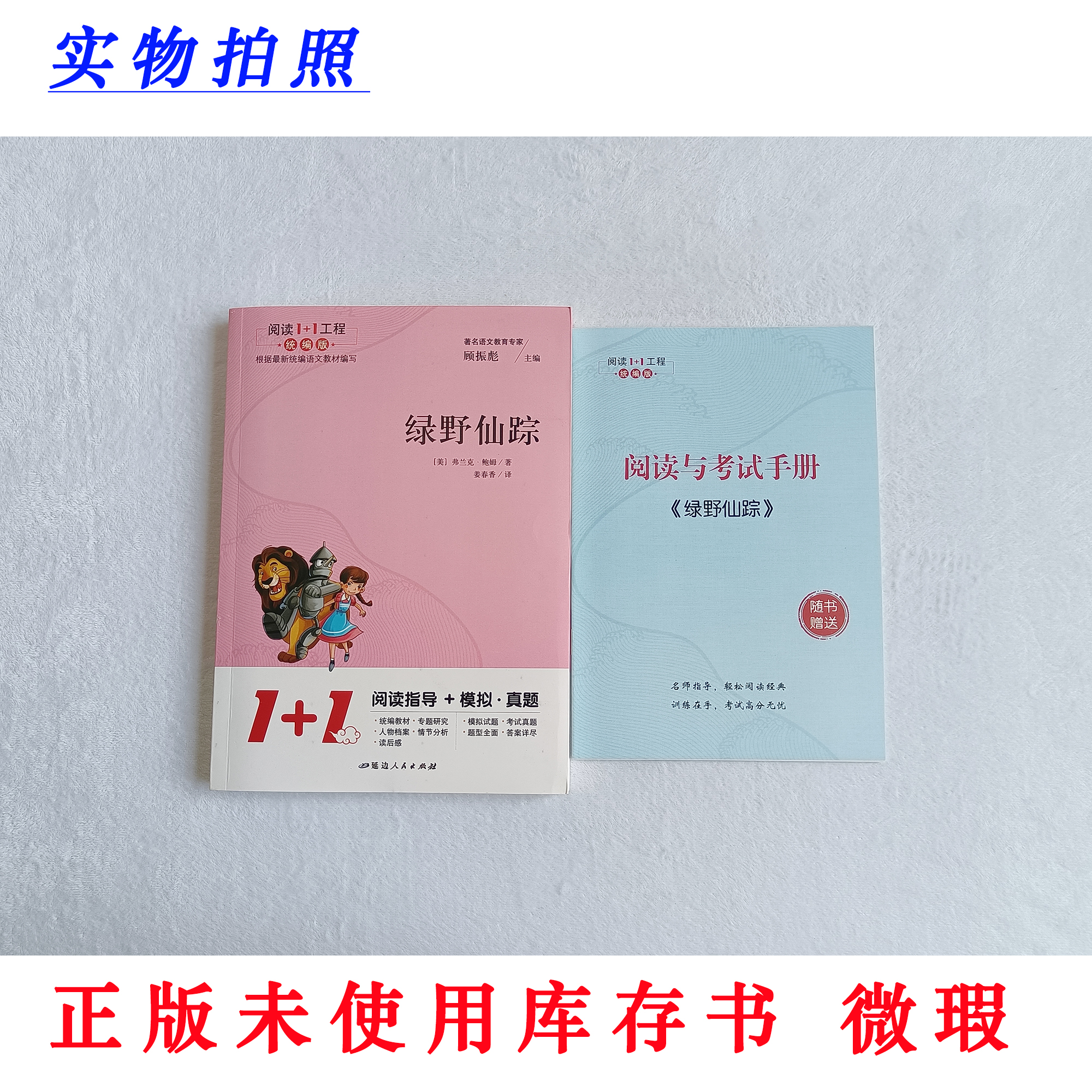 【正版未使用 微瑕】绿野仙踪 阅读1+1工程统编版 含阅读考试手册