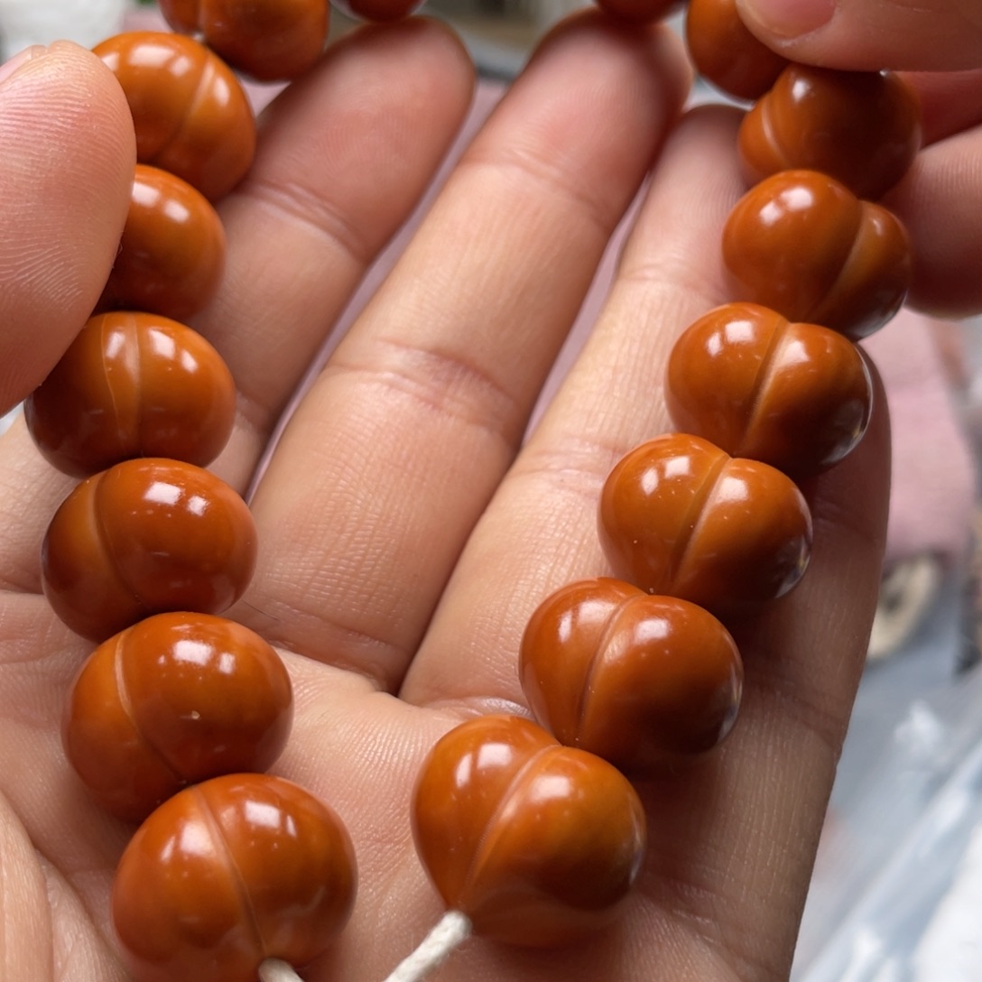 橄榄核吊坠猴头草属