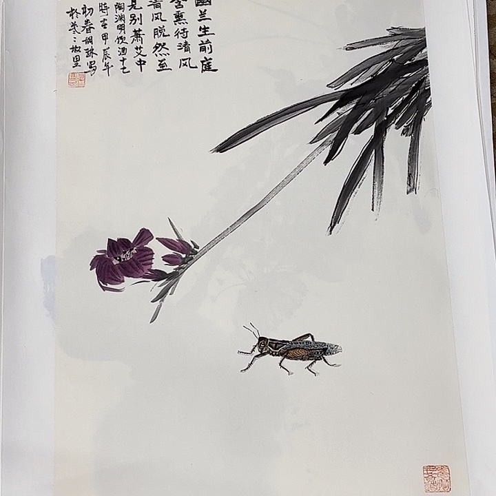 国画花鸟等多种鸟类的栖息地和栖息地