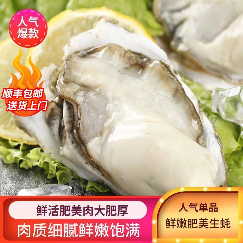 顺丰包邮码头直销鲜甜肥美生蚝鲜活带壳大海蛎子肥牡蛎海鲜水产贝