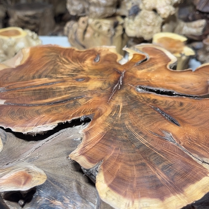 香榧木摸爬滚打点点滴滴