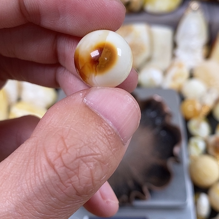 琥珀裸石未镶嵌我